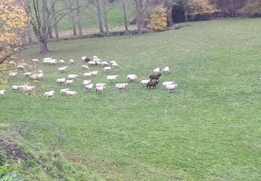 Tocht Noords wandelen Blegny - Blegny_27-11-2022 - Photo