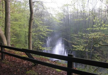 Tour Zu Fuß  - Ścieżka przyrodnicza Barnimie - Photo