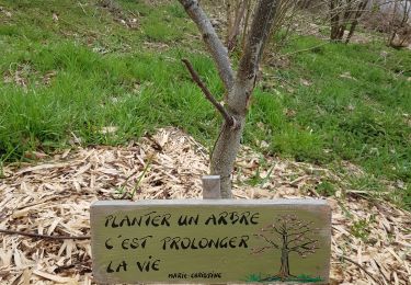Trail Walking Vielsalm - 2023-04-02_15h38m24_Cirkwi-Vielsalm___Pays_du_bois,_de_la_pierre_de_l_eau - Photo