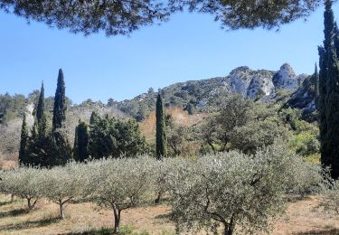 Tour Wandern Tarascon - CR_Domitia_BA_23_Tarascon_St-Remy-Provence_20220404 - Photo