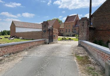 Tocht Stappen Tubeke - Sainte Renelde - Photo