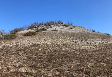 Trail Walking Couzou - Couzou - Photo