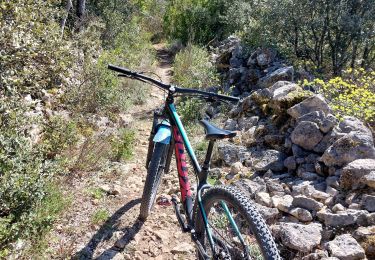 Tocht Mountainbike Mormoiron - Reprise VTT AM Musculaire - Photo