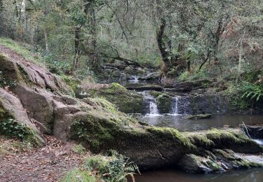 Trail Walking Treffendel - treffendel - Photo