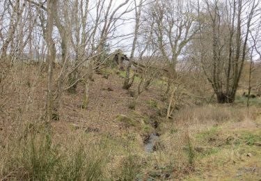 Trail On foot  - West Fife Woodlands Way - Photo