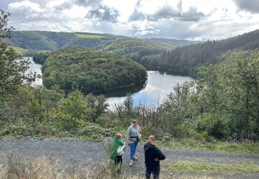 Trail Walking Lac de la Haute-Sûre - Bavigne 10,1 km - Photo