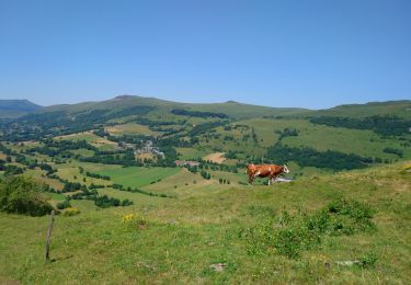 Tour Wandern Dienne - Cantal - le Chaumeil - Dienne et Rocher de Laqueille - 9km 265m 2h50 - 2019 07 05 - Photo