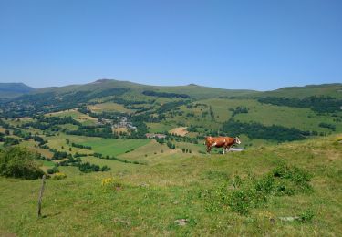 Trail Walking Dienne - Cantal - le Chaumeil - Dienne et Rocher de Laqueille - 9km 265m 2h50 - 2019 07 05 - Photo