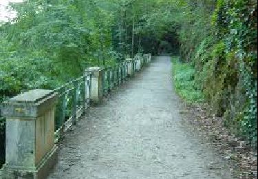 Trail Walking Burlats - Burlats Randonnée - Photo