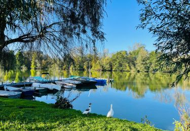 Tour Wandern Berlare - donkmeer_wandelroute - Photo