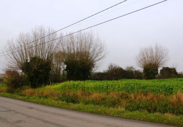 Trail On foot Poperinge - Helleketelbos - Photo