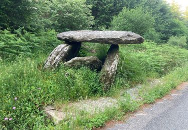 Tocht Stappen Labastide-Rouairoux - 34 Dolmen de la Gante au dessus de COURNIOU  - Photo