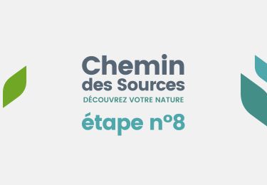 Tocht Stappen Theux - Chemin des Sources |ETAPPE 8 THEUX – LA REID - Photo