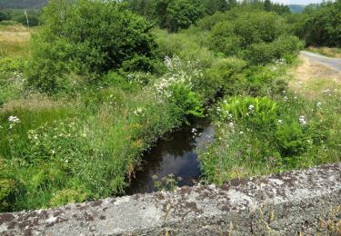 Tocht Te voet West Cork - Trawlebane Walk - Photo