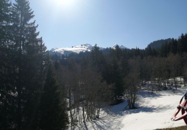 Trail Snowshoes Manigod - la cime d orcieres  - Photo