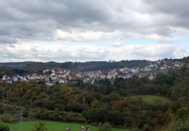 Tour Zu Fuß Frauenberg - Saar-Hunsrück-Traumschleife: Graefin Loretta - Photo