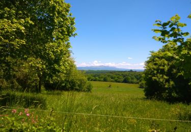 Excursión Senderismo Saint-Étienne-aux-Clos - entre Limousin et Auvergne  - Photo