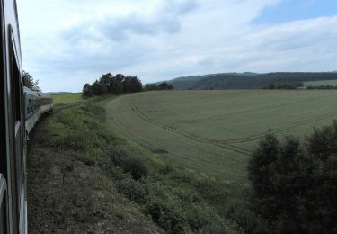 Tour Zu Fuß Jägerndorf - [Č] okruh kolem Krnova - Photo