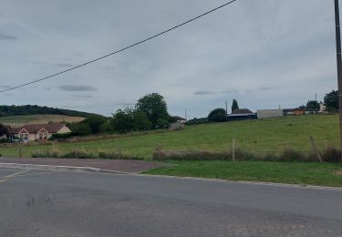 Tour Wandern Ménesqueville - 20230808 Menesquville - Photo