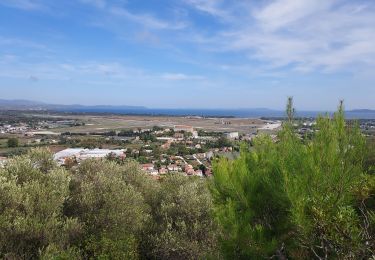 Trail Road bike Hyères - Hyères J1 P13 - Photo