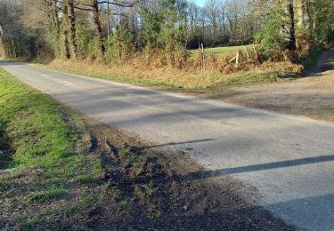 Excursión Bici de montaña Cognac-la-Forêt - Cognac la Forêt  - Photo