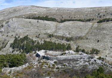 Tour Wandern Saint-Vallier-de-Thiey - St Vallier de Thiey - Col du Ferrier - Castellaras de la Malle - Col du Pilon - Pierre Druidique - Photo