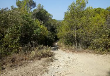 Excursión Senderismo Junas - Promenade office du tourisme - Photo