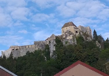 Trail Walking La Cluse-et-Mijoux - le grand taureau, la Cluse et Mijoux - Photo