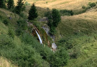 Tocht Stappen Taninges - Les Munes - Photo