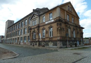 Percorso A piedi Forst (Lausitz) - Baršć - Forster Rundwanderweg - Photo