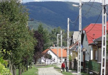 Randonnée A pied Sajóvelezd - KT - Photo