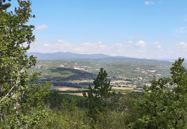 Randonnée Marche Vitrolles-en-Luberon - vitrolles en Lubéron. aire des mascas - Photo