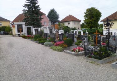Randonnée A pied Gaspoltshofen - Herkules Pfad - Photo