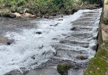 Tour Wandern Le Morne-Rouge - Sainte Cécile/crête du Cournan/Beauvallon  - Photo