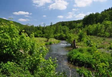 Trail Walking Yvoir - Le long du Bocq - Photo