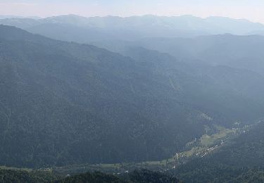 Excursión A pie Brașov - Brașov (Valea Cetății) - Culmea Crucuru - Cabana Postăvaru - Photo