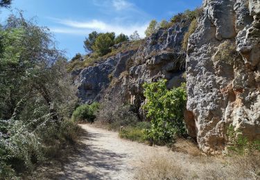 Tocht Mountainbike Narbonne - NARBONNE-Plage ... vers les étangs 