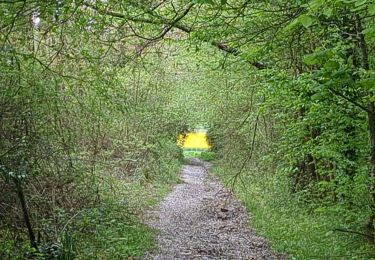 Trail Walking Jouy-sur-Eure - téléthon 2024 - Photo