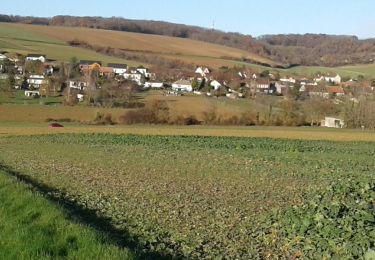 Excursión Bici de carretera Paron - 022 E35 Saligny-01 - Photo