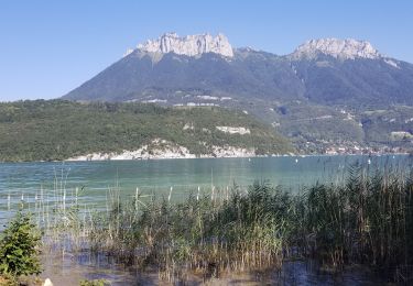 Randonnée Marche Saint-Jorioz - sentier de Roselieres Annecy  - Photo