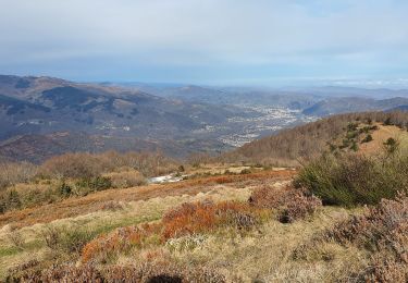 Excursión Senderismo Saint-Paul-de-Jarrat - mont fourcat - Photo