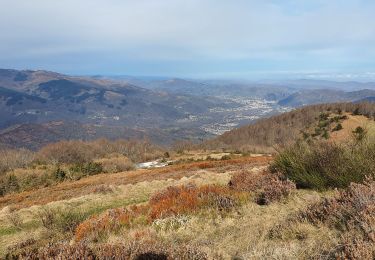 Tocht Stappen Saint-Paul-de-Jarrat - mont fourcat - Photo