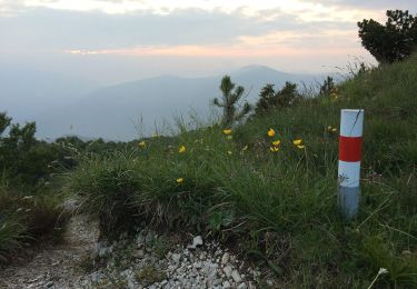 Trail On foot Capriasca - Cattle Trail - Photo