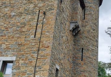 Tour Wandern Ciney - Serinchamps 180522 - Photo