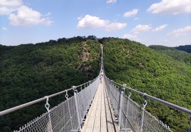Tour Wandern Mörsdorf - Promenade vers le pont de Geierlay   - Photo