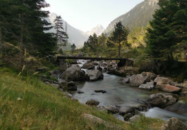 Trail Walking Cauterets - Lac d'estom - Photo