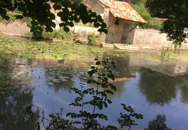 Randonnée Marche Jonzac - Mail de Seugne-parcours pêche - Photo