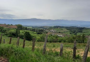 Tour Rennrad Crozes-Hermitage - Rando les Rustines 75km - Photo