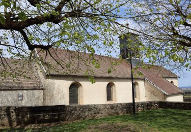 Tocht Te voet Hauteville-lès-Dijon - Du Fort de Hauteville au Plain Saint-Laurent - Photo