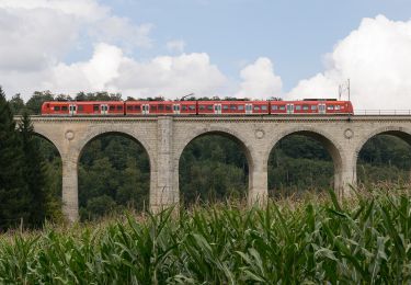 Tour Zu Fuß Paderborn - Walderlebnis-Pfad (Naturerbe Wanderwelt Altenbeken) - Photo